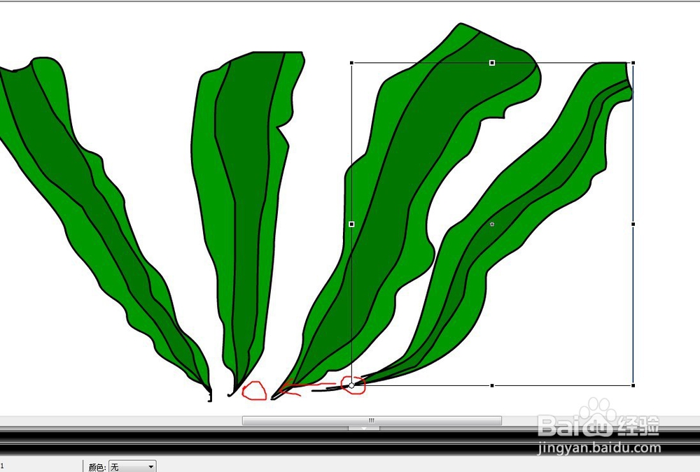 flash如何绘制海底的海带教程