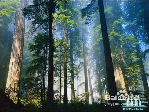 千岛湖、金峰峡漂流、森林氧吧2日游