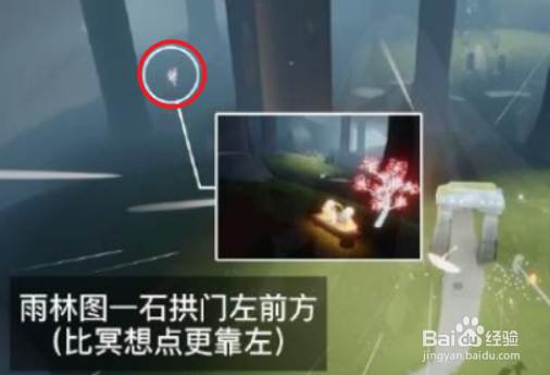 光遇雨林赏花任务怎么做