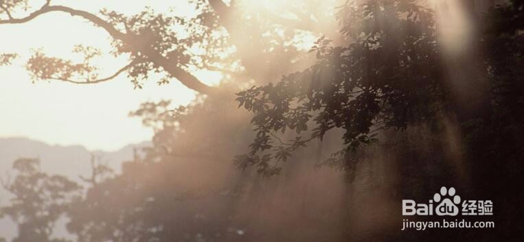 生活的希望你是如何确立起来的？