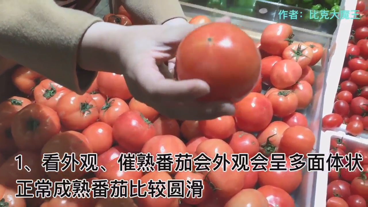 怎么挑选番茄