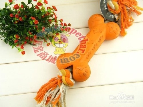 狗狗乱咬东西怎么办？