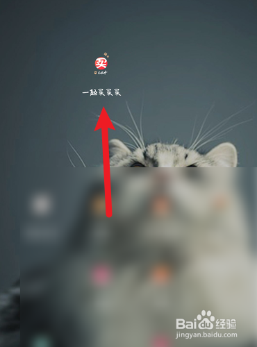 一起买买买怎么修改性别