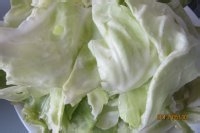 怎么做卷心菜炒豆干