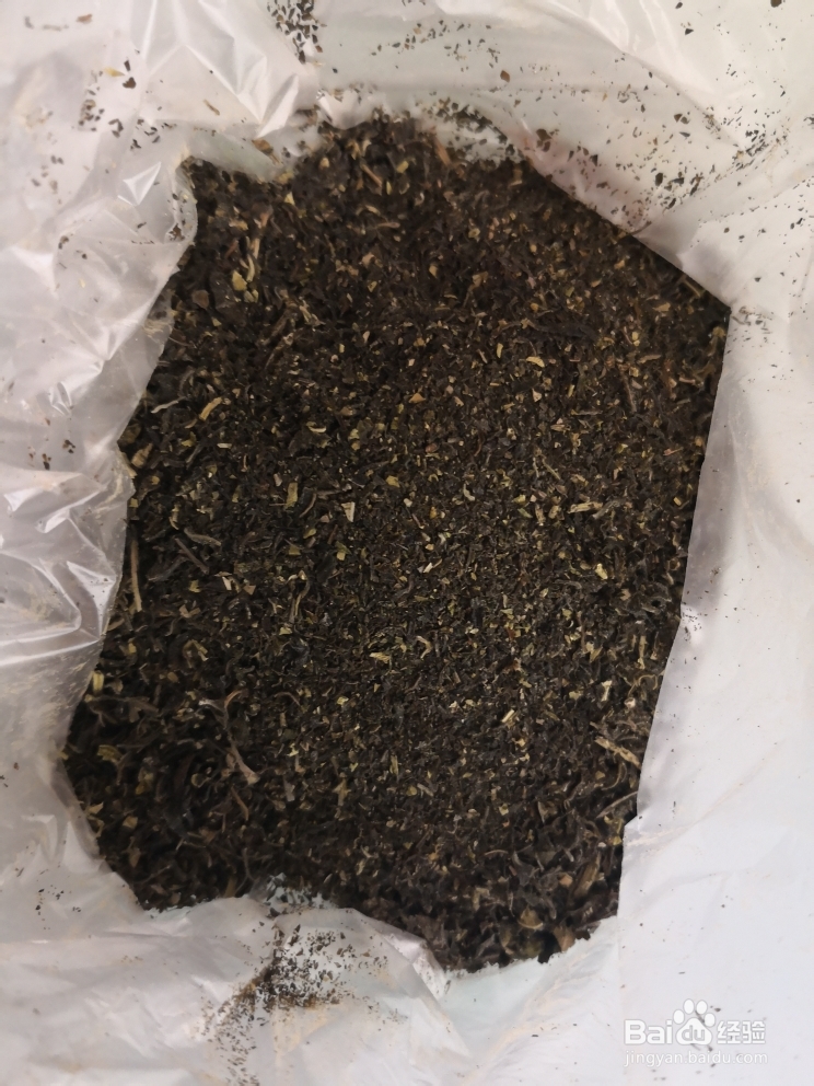 简单无压力做香椿
