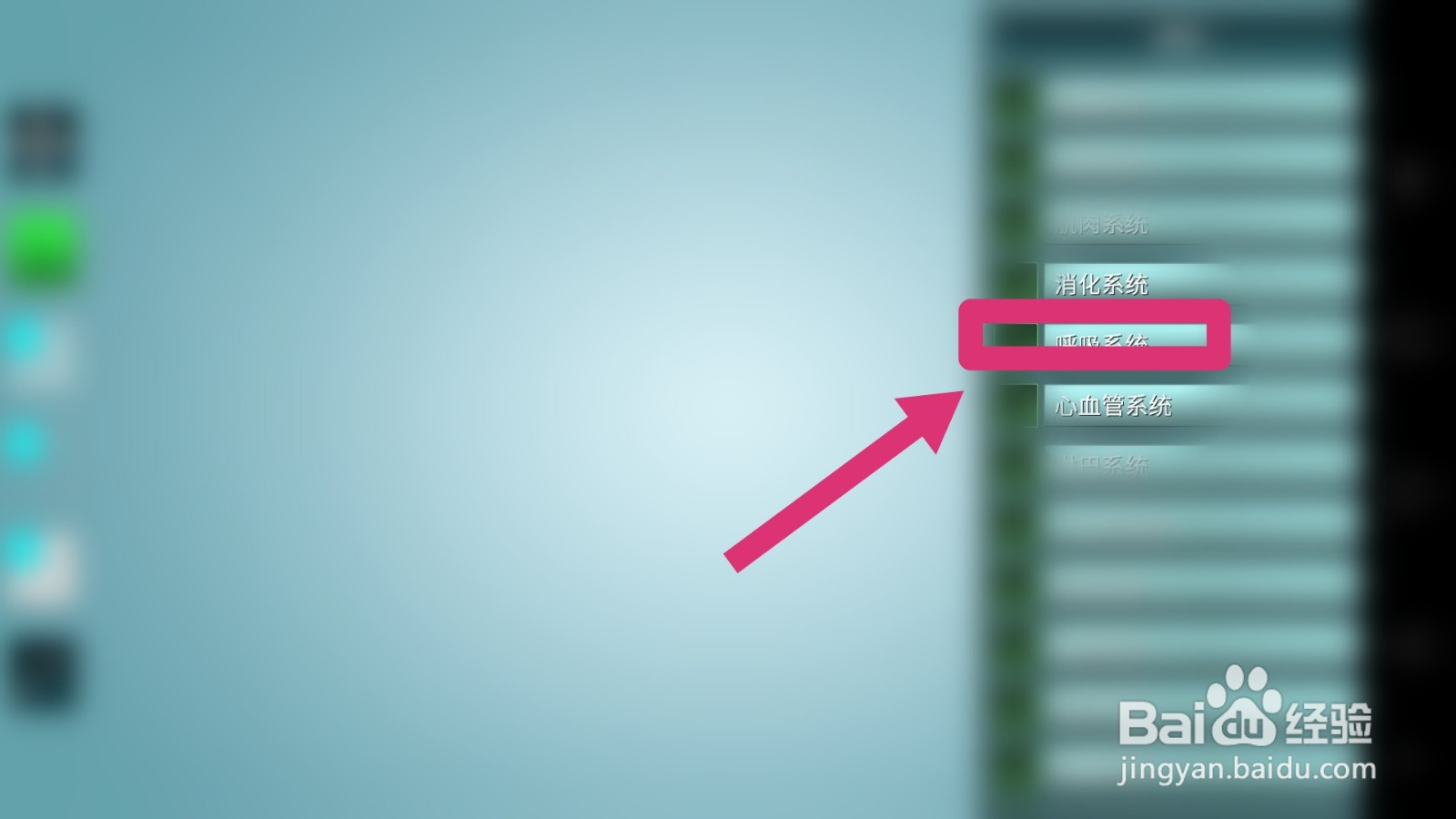 人体解剖学图集如何查看呼吸系统?