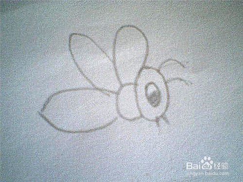 简笔画蜜蜂的画法