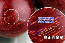 小叶紫檀金星是什么