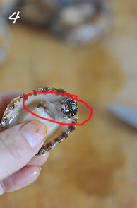 油焖春笋小鲍鱼