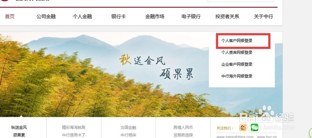 如何登录中行网上银行