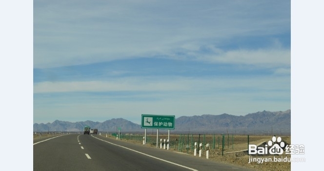 石家庄到库尔勒奔袭游记：[3]第四天