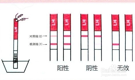 更好的使用排卵试纸