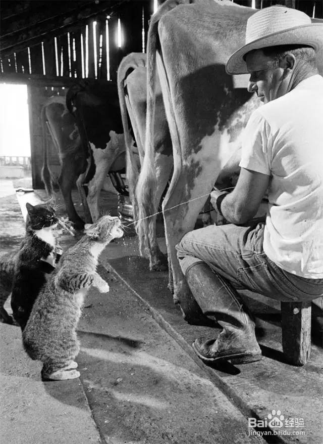 照片中时空凝滞，诉说着震撼的力量