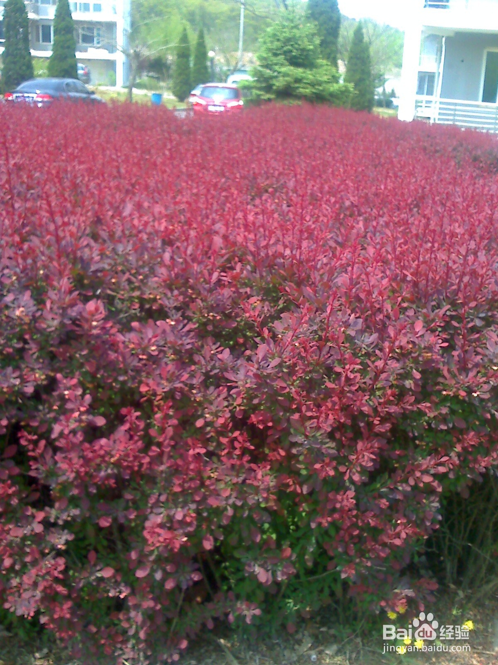 怎样告诉孩子什么是天然的氧吧--9