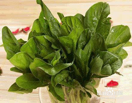 日常10种食物最养胃