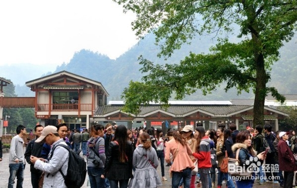 合肥到张家界旅游攻略