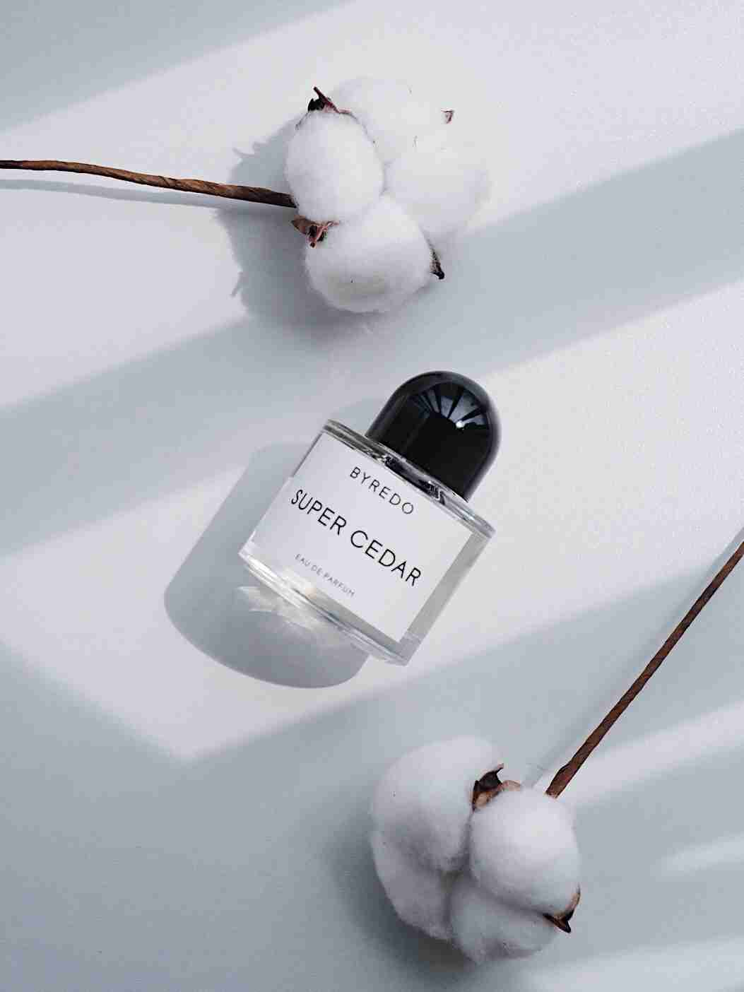 自用10款男士独特小众香水推荐