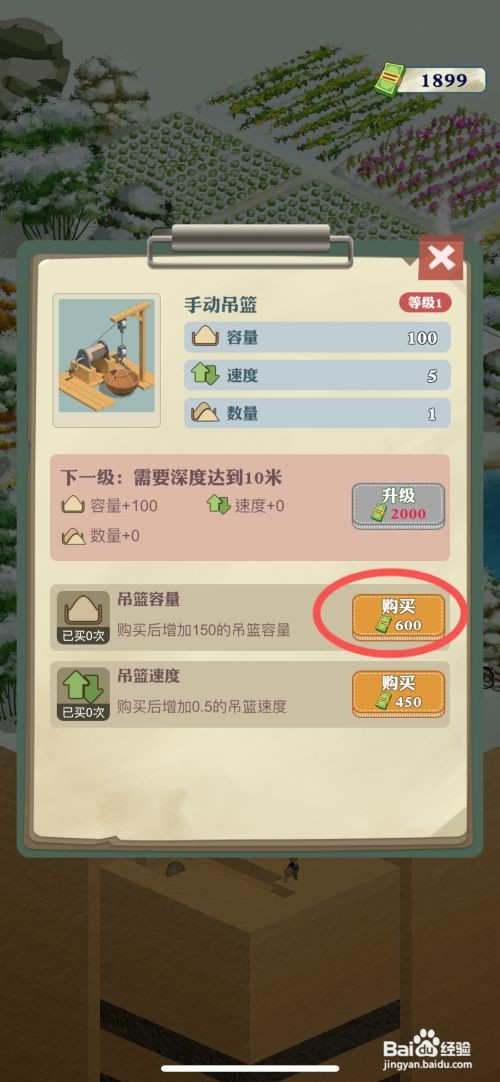 王铲铲的致富之路如何给完成购买吊篮容量任务