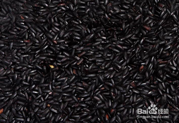 推荐一款可以补肾的粥