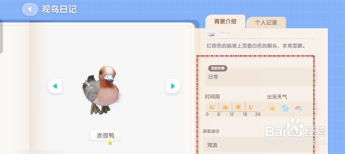 心动小镇赤颈鸭观鸟日志在哪里获取