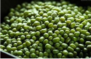 绿豆营养价值体现在哪里