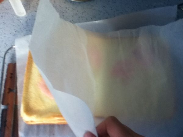 康乃馨彩绘蛋糕卷