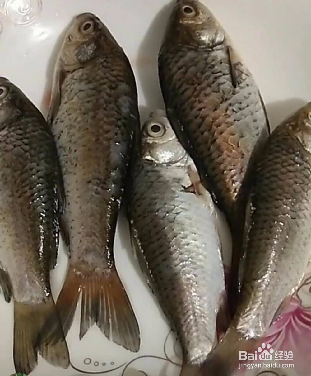 鲫鱼煲汤教程