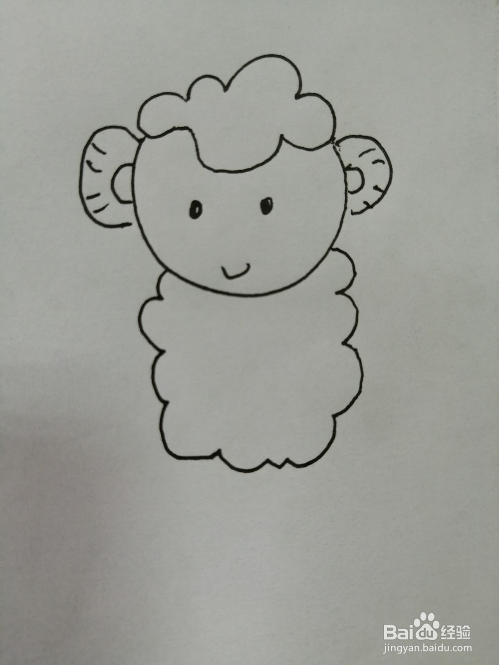 可爱的小绵羊怎么画
