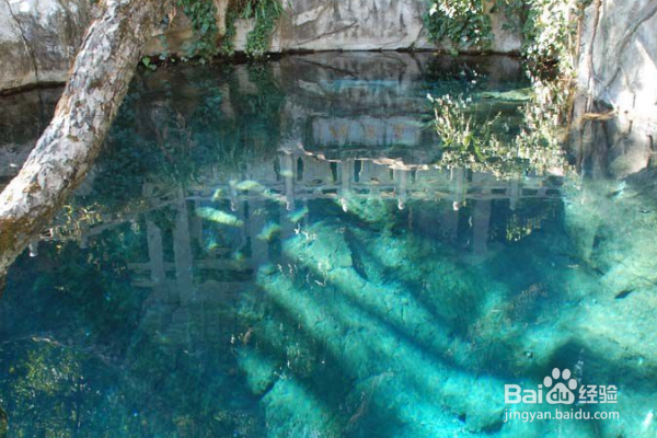 云南的旅游景点中，有哪些值得去呢？