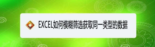 <b>EXCEL如何模糊筛选获取同一类型的数据</b>