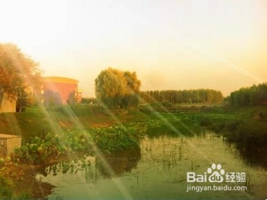 身为领导开会时如何让你的发言更具权威？