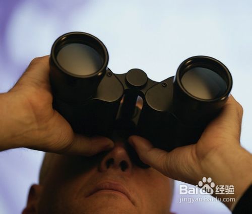 手持双筒望远镜稳定观看技巧