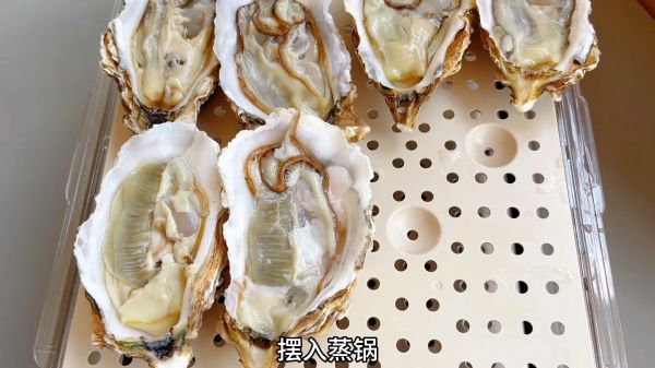 自制金银蒜蓉粉丝蒸生蚝