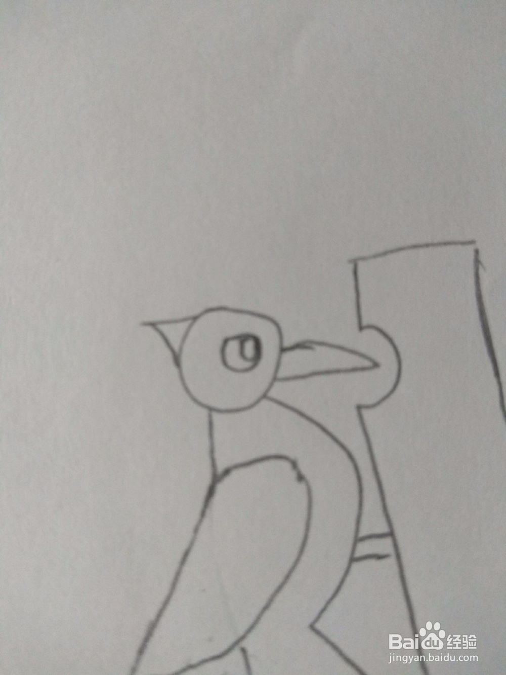 简笔画—画出一个啄木鸟
