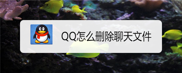 <b>QQ怎么删除聊天文件</b>