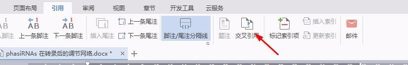 word中（WPS）如何插入参考文献