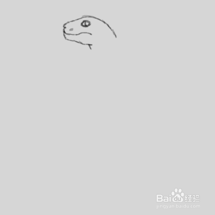 用素描画眼镜蛇的所有教程