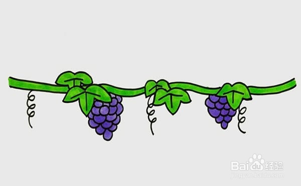 葡萄树怎么画