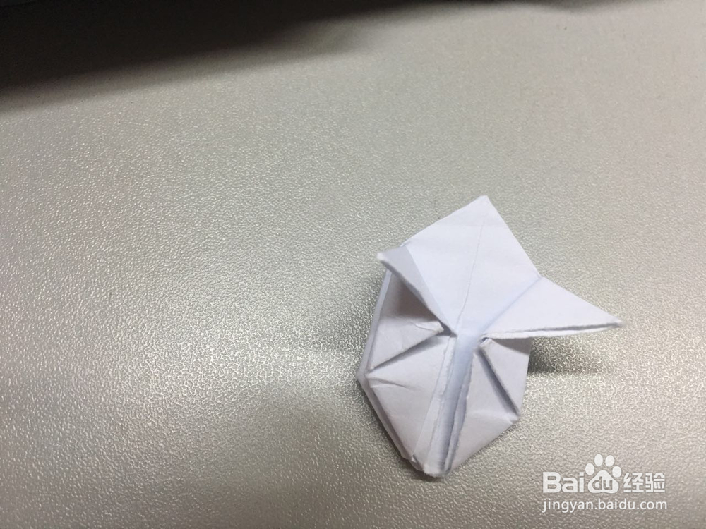 小萌物－－兔兔