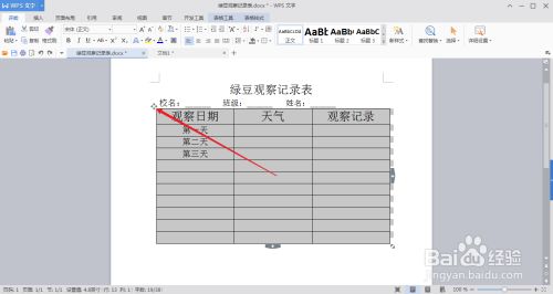 怎么提取表格里面文字