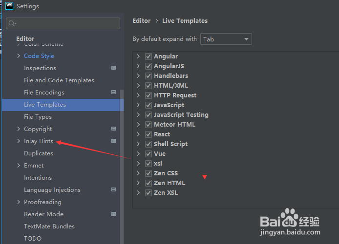 WebStorm 2021.1.2怎么脚本语言设置