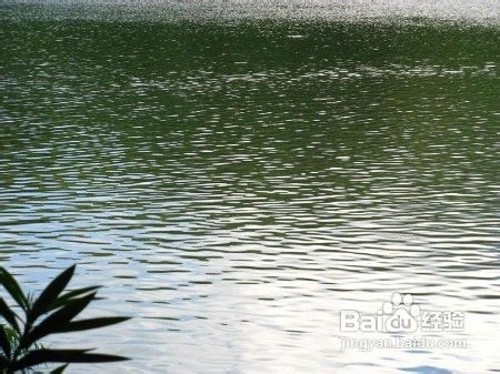 深圳旅游景点排行