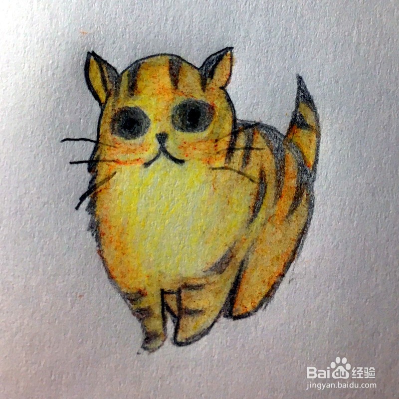 <b>怎么画一只斑纹橘猫的简笔画</b>