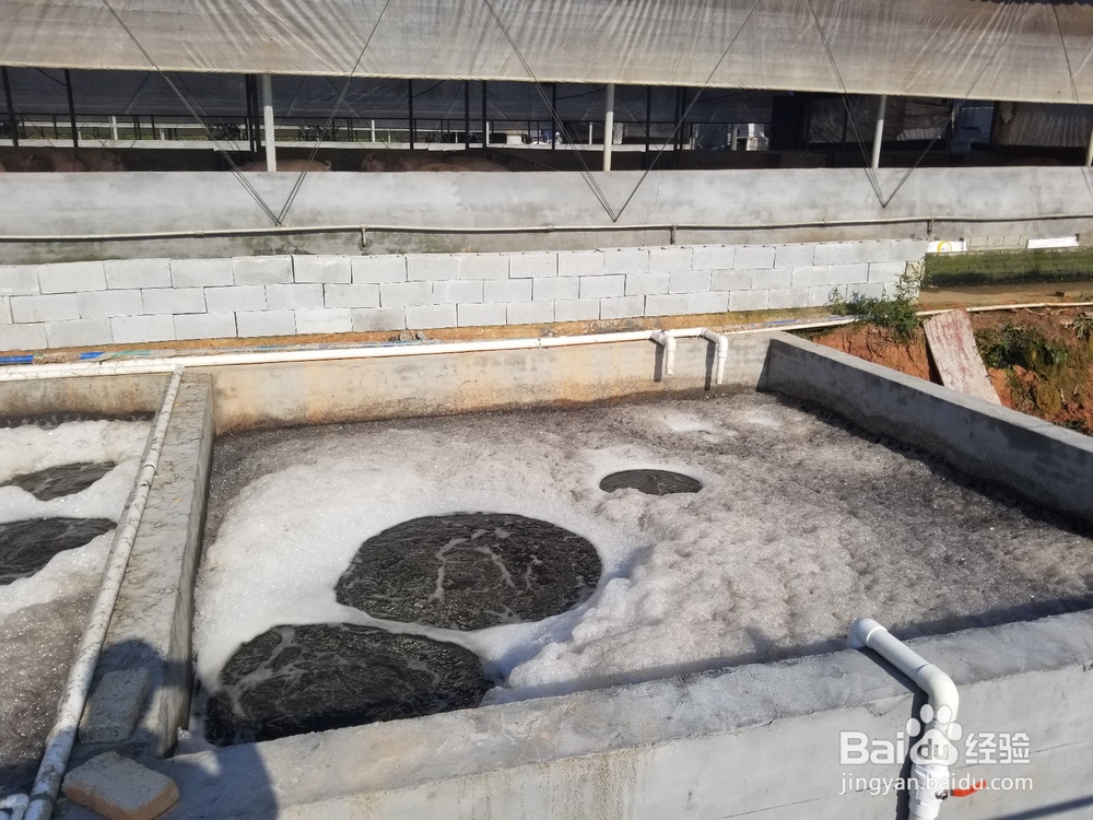 环保公司污水处理调试服务中需要注意哪些问题？