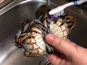 清蒸大闸蟹的做法