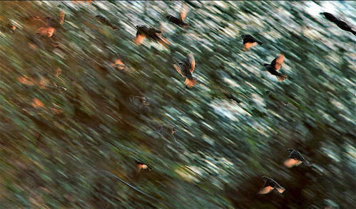 怎样根据不同的拍摄题材来设置相机