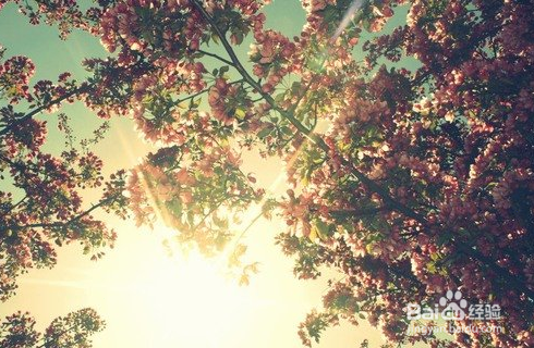 考研党：如何为保研做一些准备