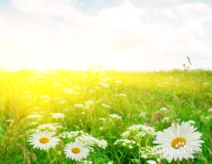 安逸,对于年轻的你来说,与毒药何异?