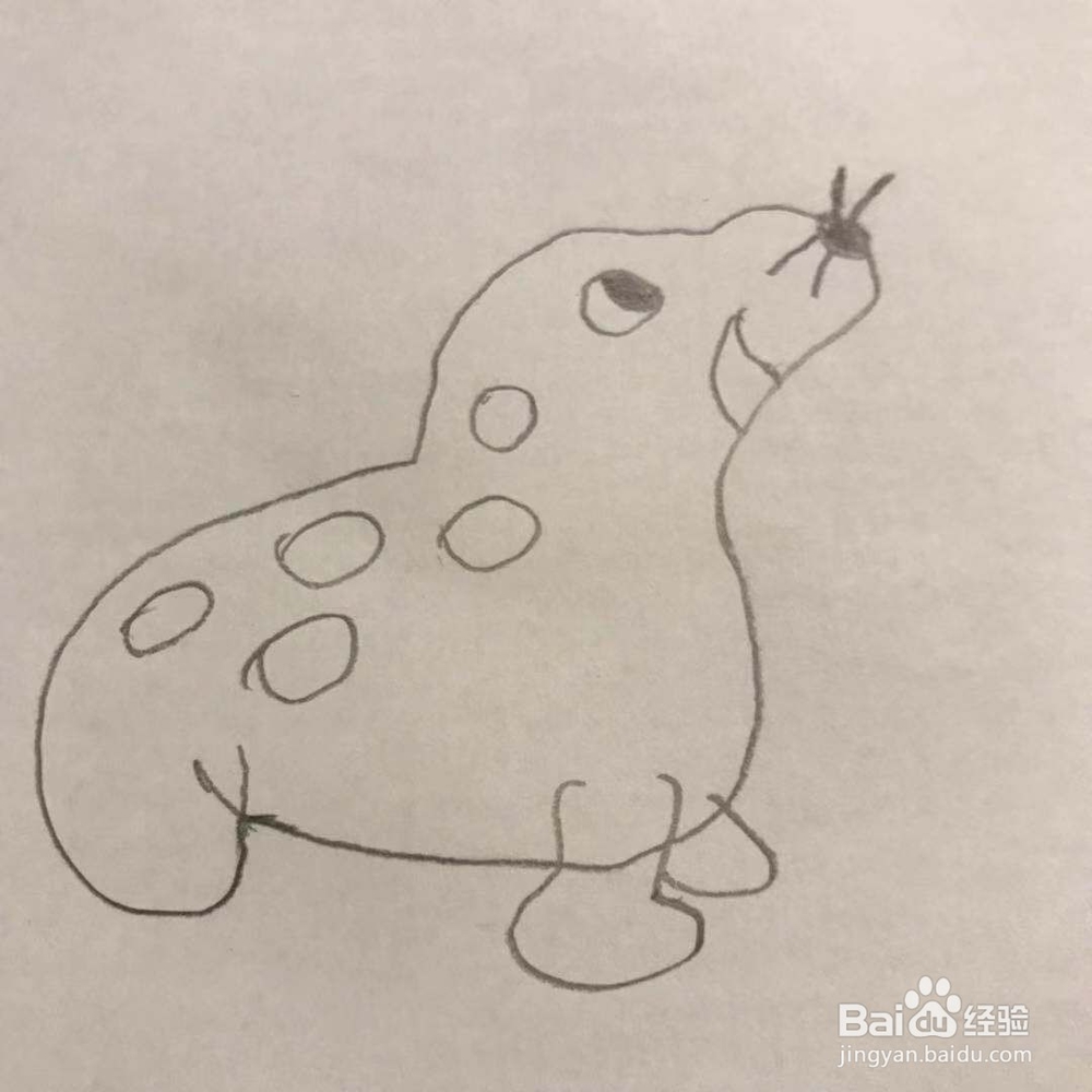 怎么画海豚呢