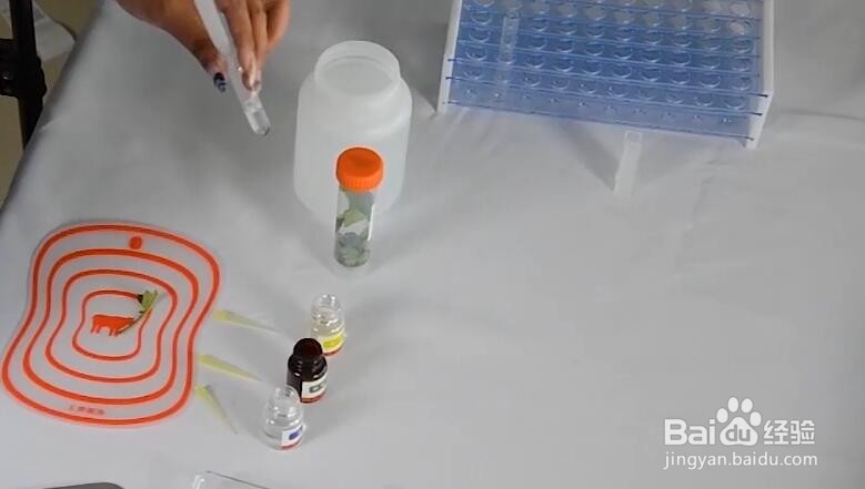 农药残留速测仪怎么用?操作步骤是什么